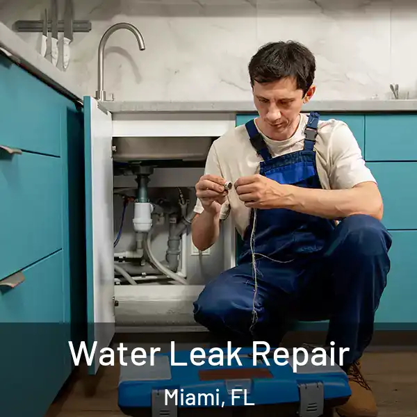  Water Leak Repair Miami, FL